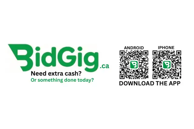 BIDGIG SERVICE!541618413670901762