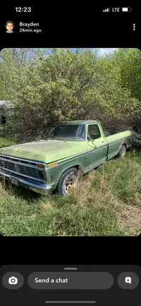 Looking for a ford f100