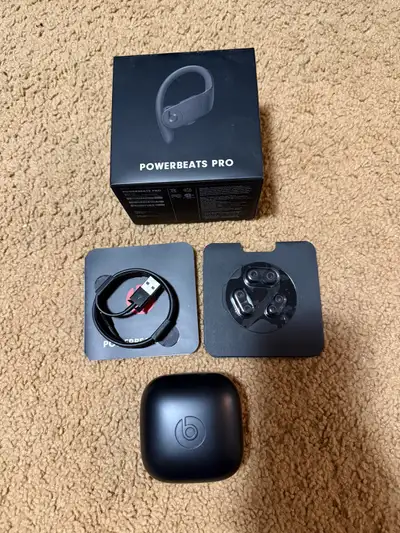 Powerbeats Pro ear buds in amazing condition. The earbuds have been thoroughly cleaned and sound gre...