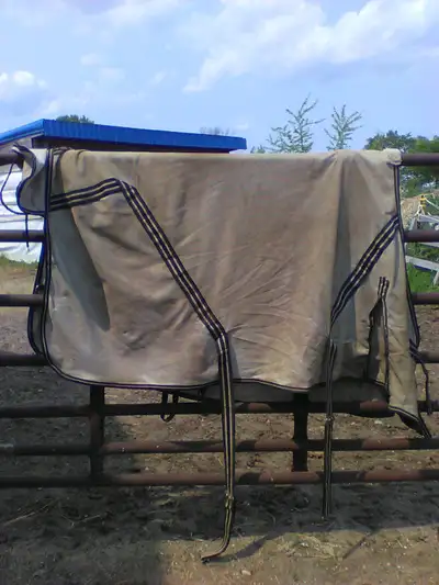 horse fly blanket, View more