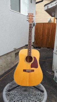 Ibanez aw100