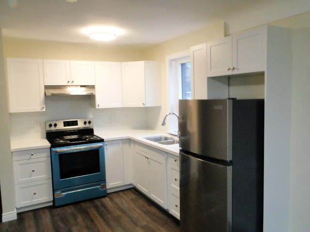 Studio apartment now available! $1,249 in Long Term Rentals in Hamilton