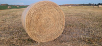 PRICE REDUCED Bales For Sale