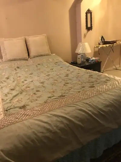 Furnished one-bedroom walkout  basement for rent