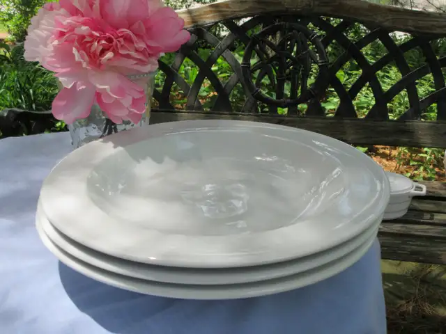 3 Heavy 12" Rego Pasta Bowls63234832987395124