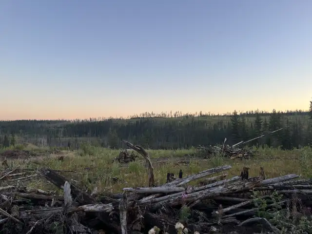 Land with View in Land for Sale in Williams Lake - Image 5