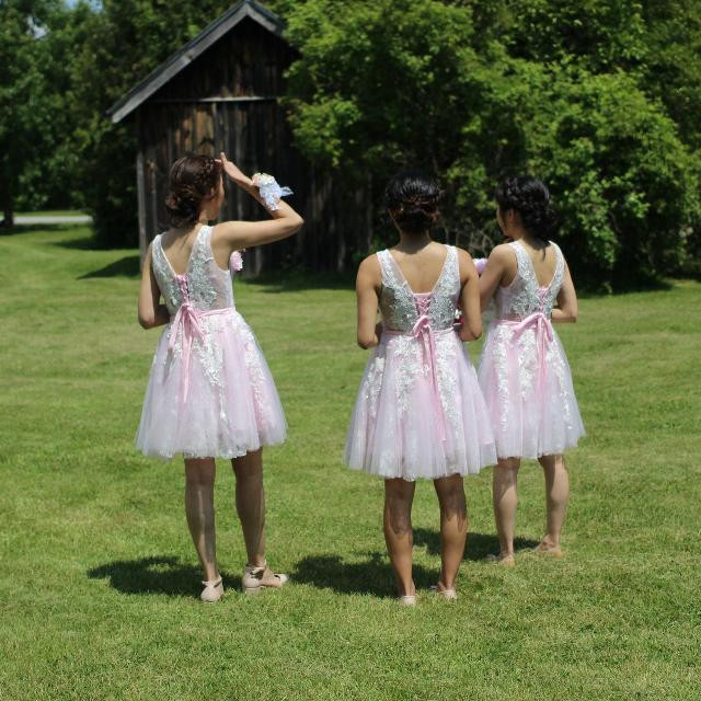 SIZE 2 and 4 BRIDESMAIDS LIGHT PINK DRESSES in Women's - Maternity in Markham / York Region - Image 4