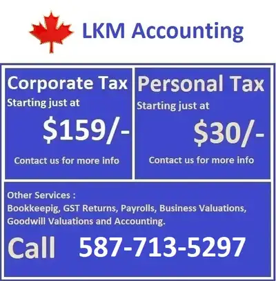 Corporate Tax Filing starting $159 / year NIL Return (Zero Expenses, Zero Revenue) - $159.00 Few Exp...