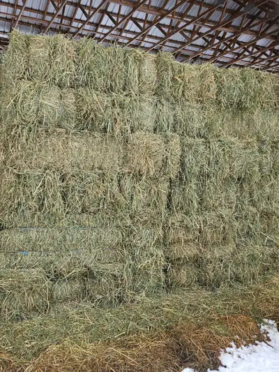 Quality second cut horse hay, View more