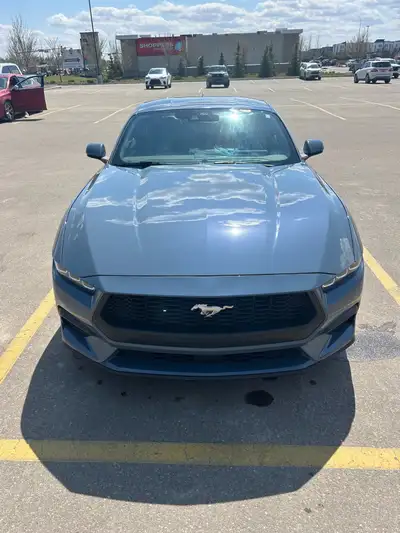 2024 Ford Mustang Ecoboost Coupe ** Extremely low kilometres - 12,562km ** Interior deep-clean detai...