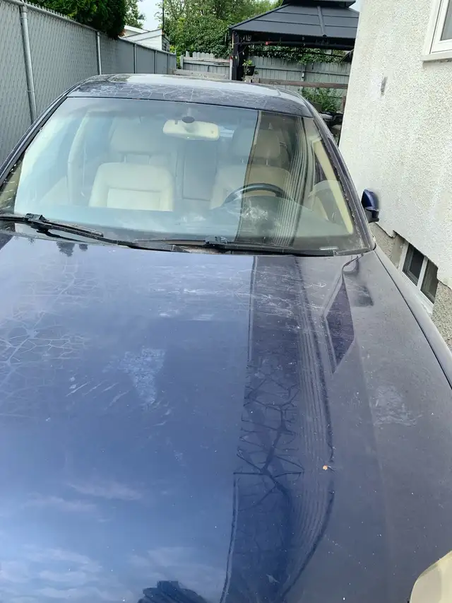 2003 VW Passat516704222441656326
