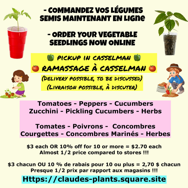 Online order vegetable seedlings / Semis végétales in Plants, Fertilizer & Soil in Ottawa