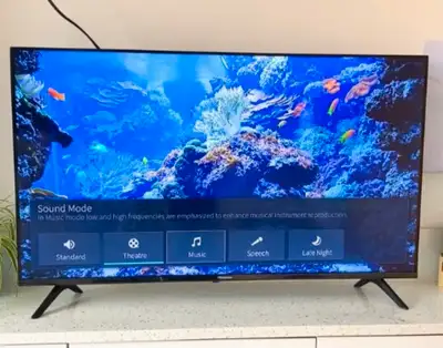 40-In TV, View more