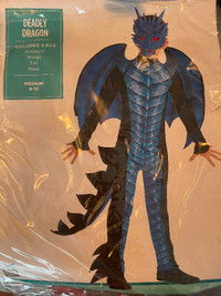 Blue dragon Halloween costume (ages 7-10)