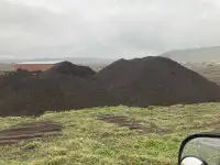 Steer manure compost