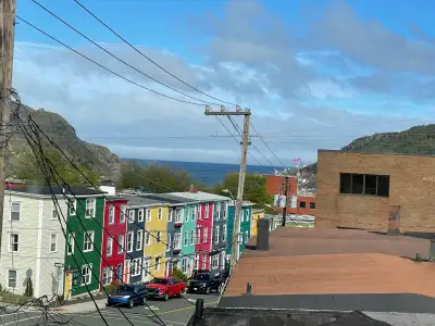 Professional seeking another professional or mature student to share a beautiful three-storey Jellyb...