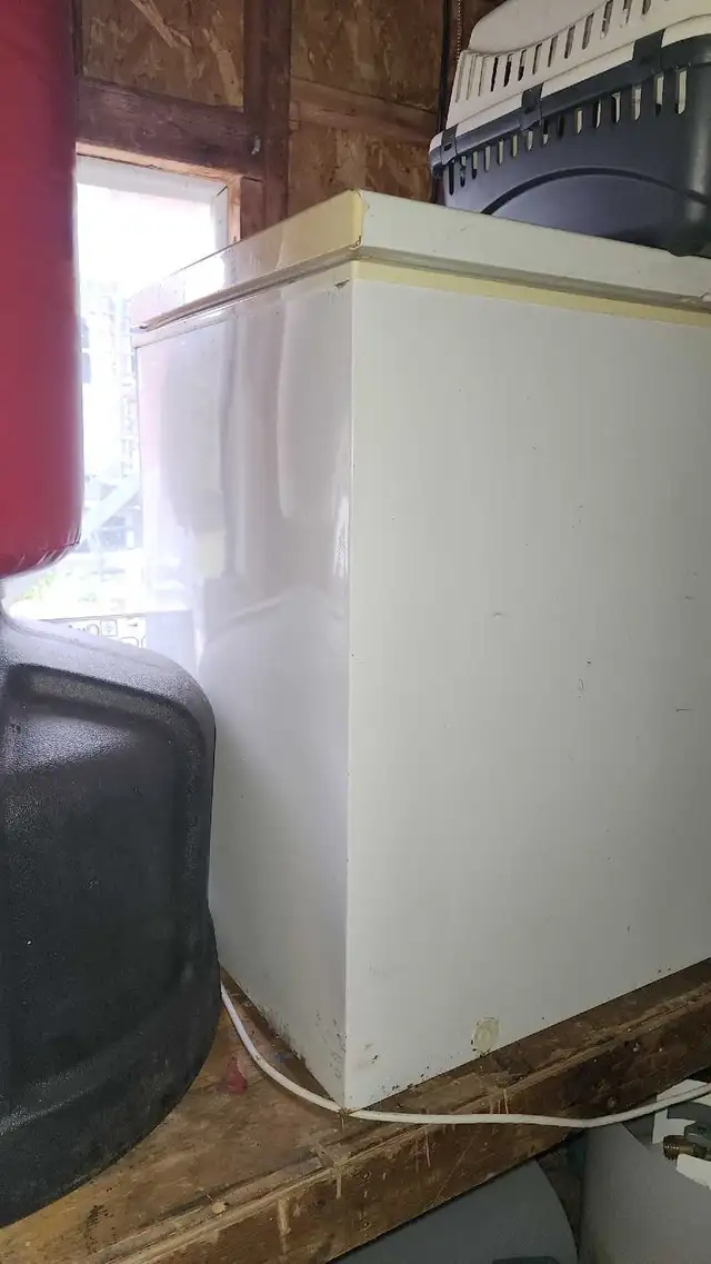 Freezer64966062339202121