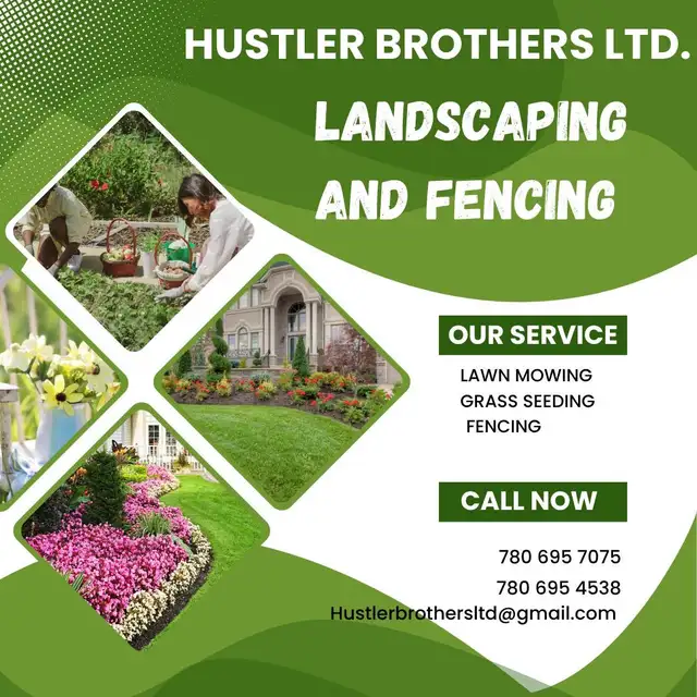 construction services 415732386539786242