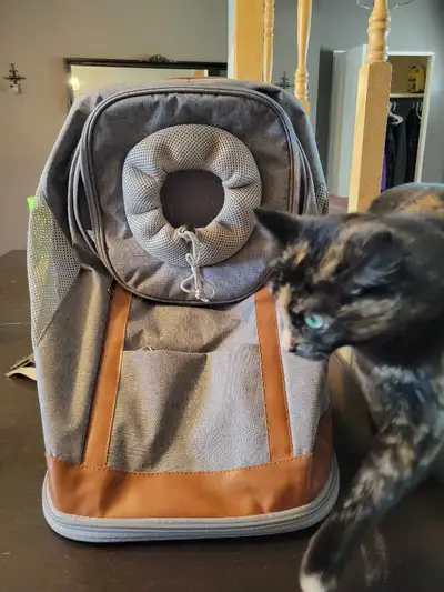 Bailey & Bella Pet Carrier, View more