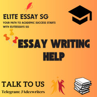exam/ test help/ essay writing/ assignment with guarantee with E