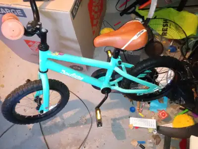 Double Star Bike, View more