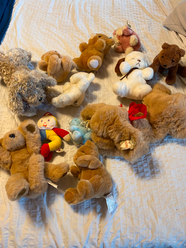 Variety of GUND stuff toys $5 each in Toys & Games in Dartmouth