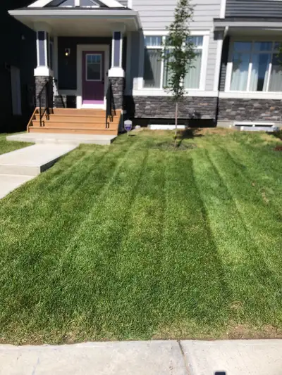 PROFESSIONAL LAWN MOWING @$55, View more