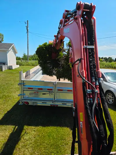 Property maintenance Stump removal Brush clean up Electrical and plumbing digging Down spout burying...