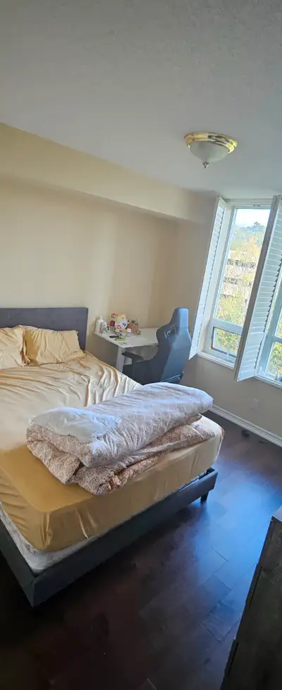 Looking for a roommate