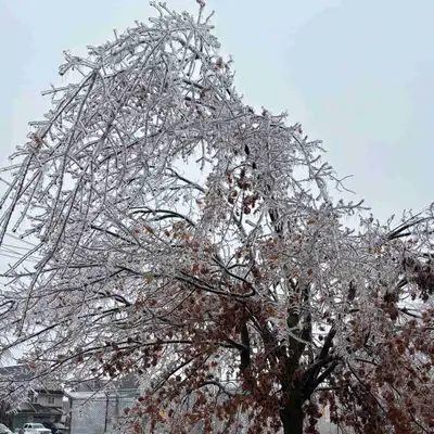 Hiring for restaurant , View more