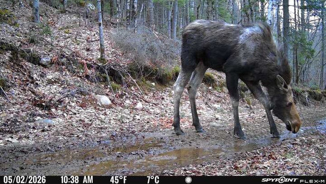 68 Ch du Lac-Limony — photo 1