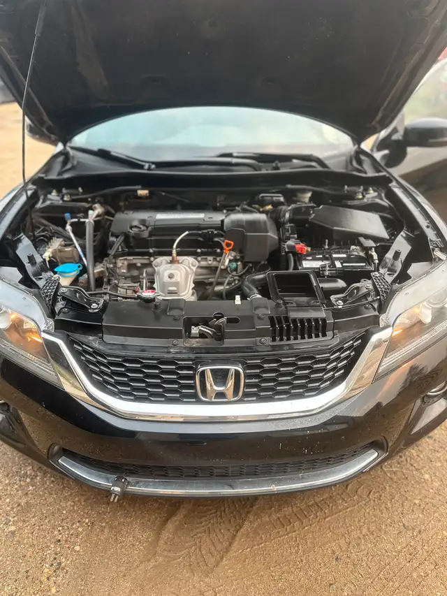 2013 Honda Accord EX633475286645771216