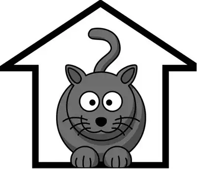 Je suis un homme seul, disponible et bienveillant, qui offre de garder votre chat pour vous. 15$ par...