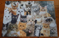 JIGSAW PUZZLE ALL THE CATS