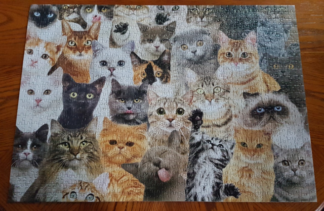 JIGSAW PUZZLE ALL THE CATS in Toys & Games in Petawawa