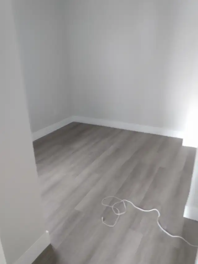 HANDYMAN  CALL TODAY 2263509284 in Renovations, General Contracting & Handyman in Windsor Region - Image 6