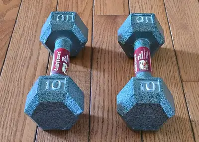 10 lbs Dumbbells , View more