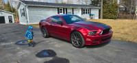 2014 Mustang Premium package 