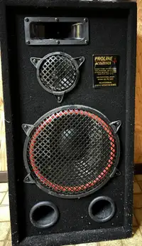 Proline acoustic speaker 