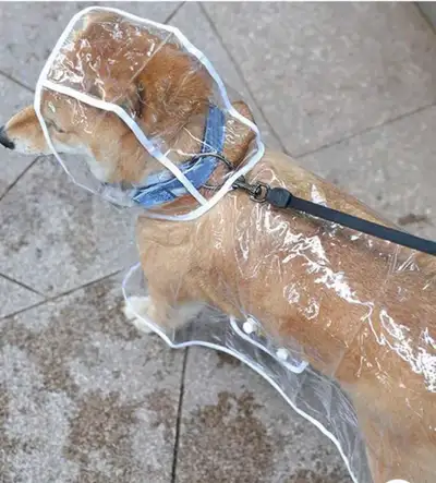 ✨ New Transparent Waterproof Dog Raincoats – Sizes S, M & L✨, View more