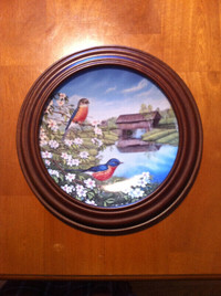 Bluebirds in Spring by Sam Timm Ltd. Ed. 1990 in Walnut Frame