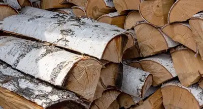 Premium Birch Firewood Rounds, View more