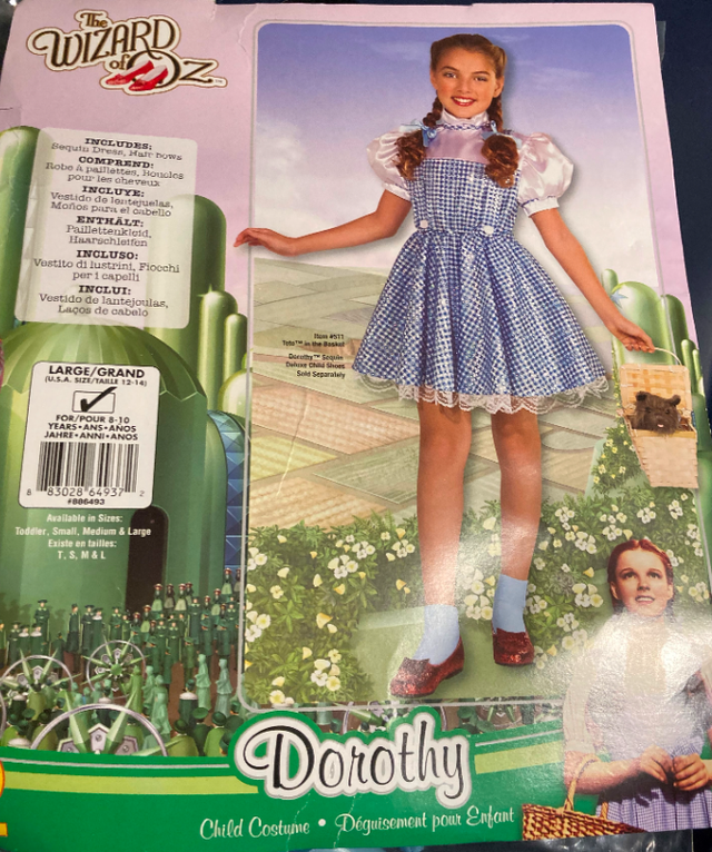 Dorothy - Wizard of Oz size large 10-12 years