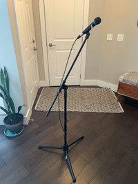 Apex microphone, mic stand and cable