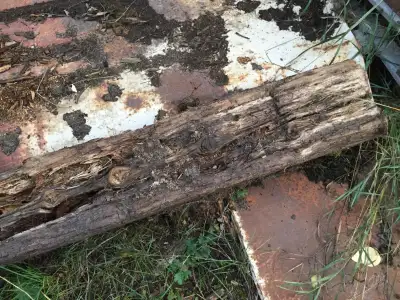Free ugly railroad ties. No calls. LOTS of other reno stuff too, View more