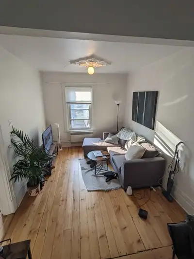 1 Bed 1 Bath - Apartment