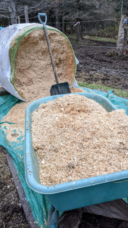 Round bales of kiln dried shavings in Equestrian & Livestock Accessories in Annapolis Valley