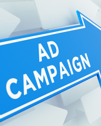 Business Ad Campaigns - FB/Google