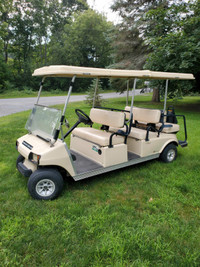 2007 Albion Limo Golf Cart