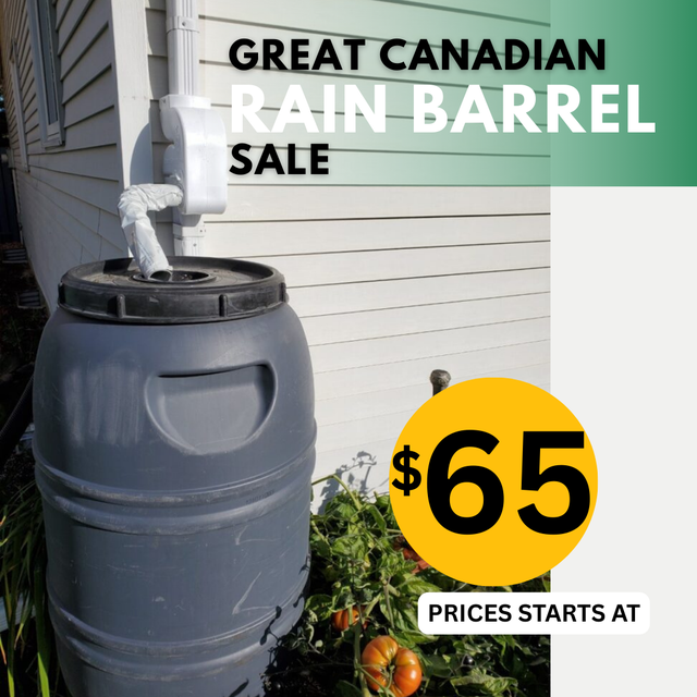 Owen Sound, ON: Rain Barrels in Stock in Outdoor Tools & Storage in Owen Sound - Image 2